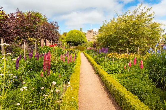 Crathes Castle walled garden in summer